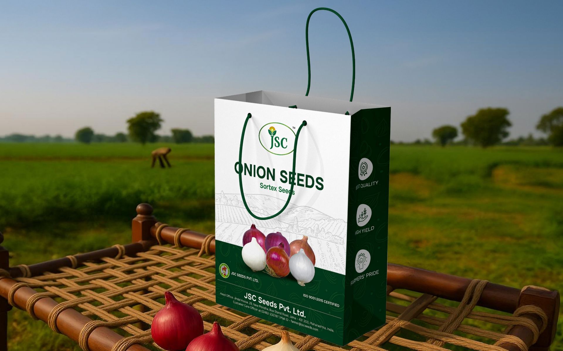 Brand Strategy JSC Seeds